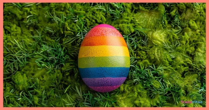 2024 Transgender Day of Visibility