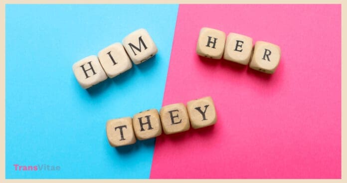 Pronouns