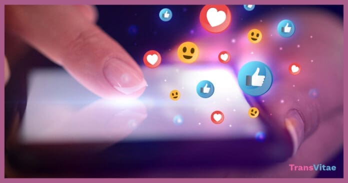 Transvitae Social Media