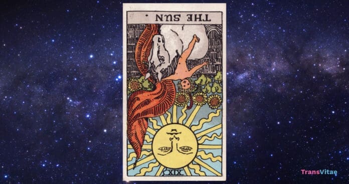 Tarot 4.15.24