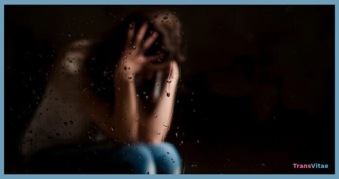 transition regret