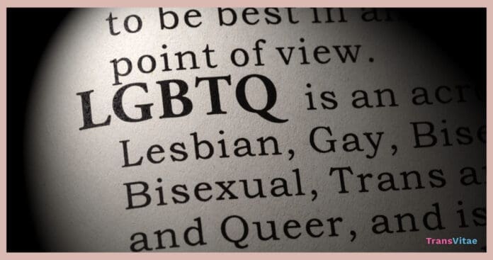 lgbtq allies terminology