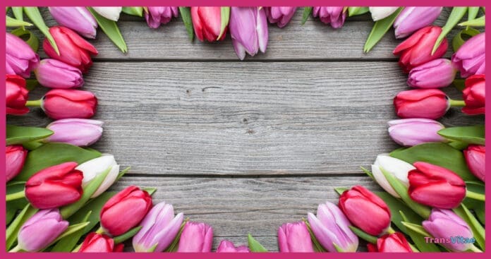 trans mothers day
