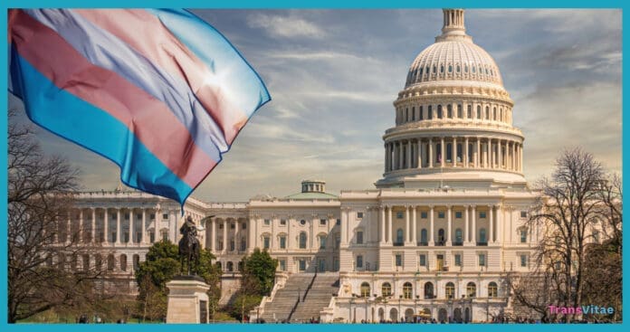 sarah mcbride congress