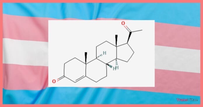 progesterone trans women