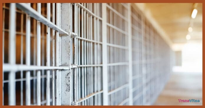 transgender australia detention