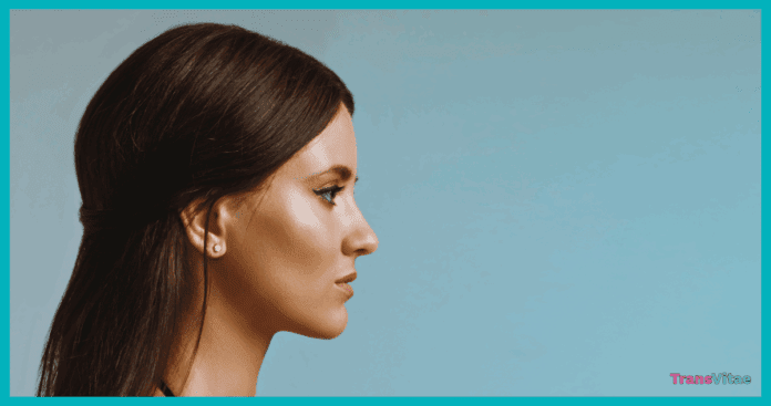 transgender feminine jaw