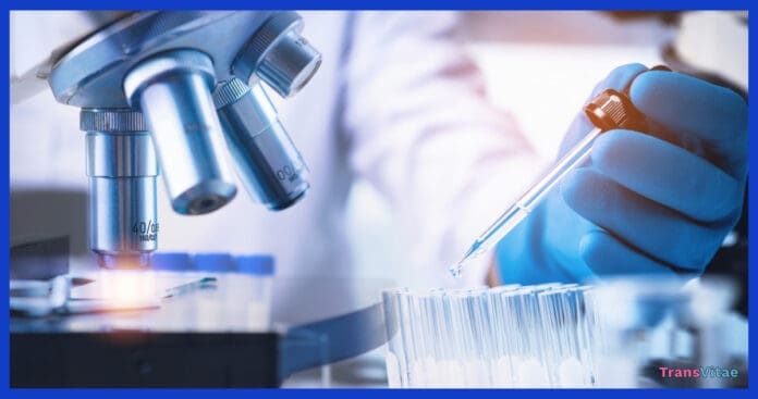 transgender hrt hiv study