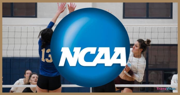 transgender ncaa logo