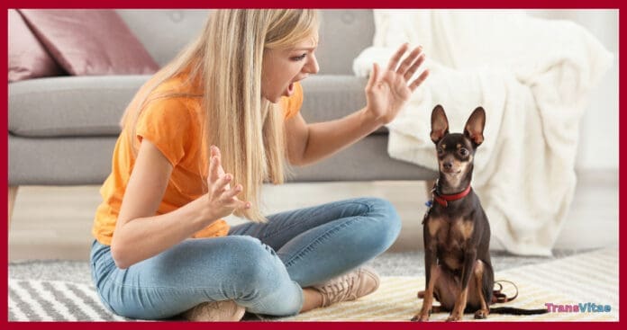 transgender pets