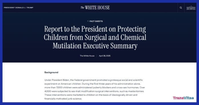 transgender trump report