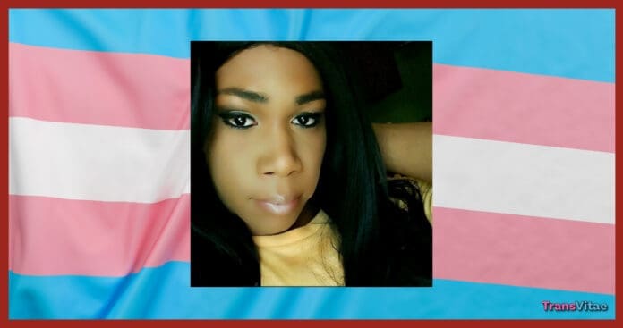 transgender chyna long