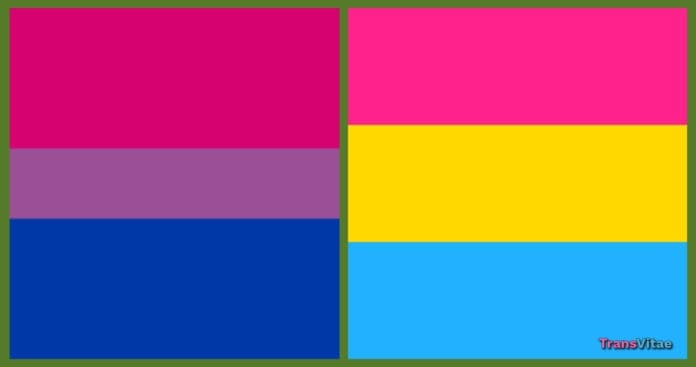 transgender bisexual vs pansexual