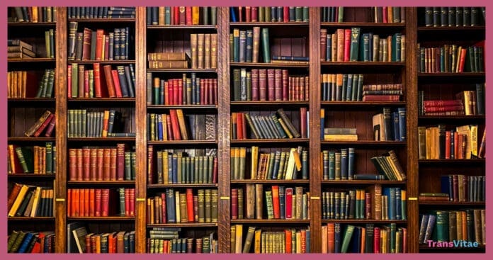 transgender books to read