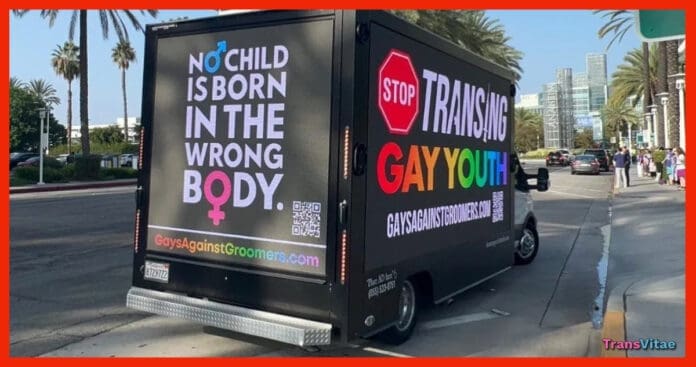 transgender cis gay allies