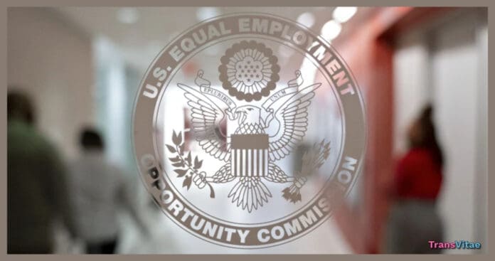 transgender eeoc rights