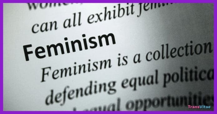transgender feminism