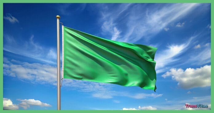 transgender green flags friendship