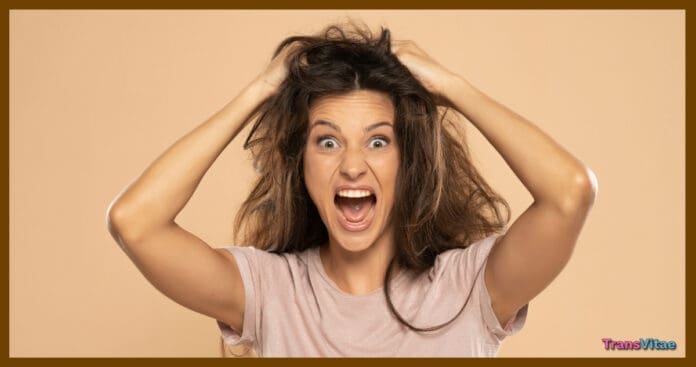 transgender hair humidity