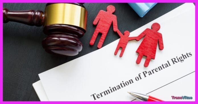transgender parental rights grooming