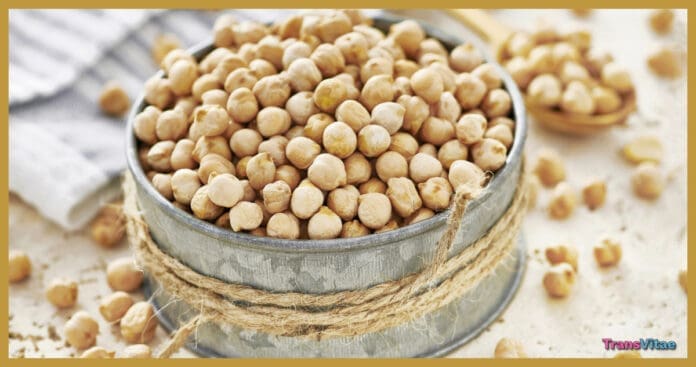 transgender phytoestrogens