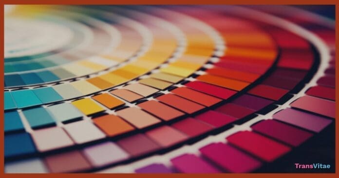transgender color theory