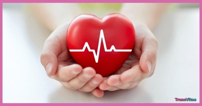 transgender heart study