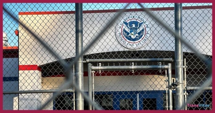 transgender ice detention