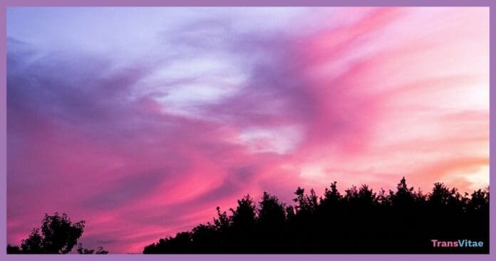 transgender sunset