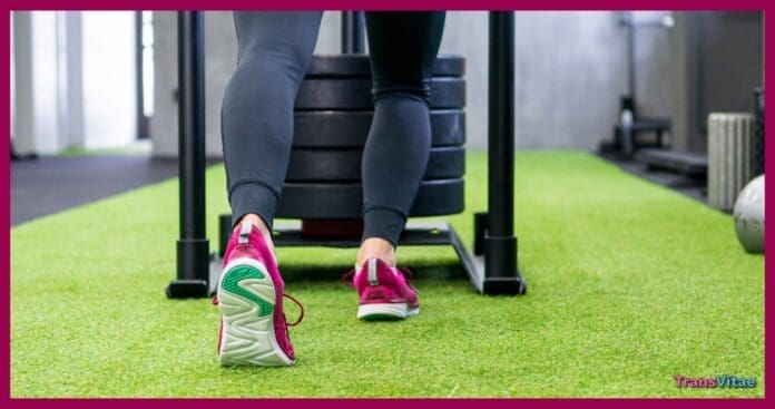 transgender weighted sled training
