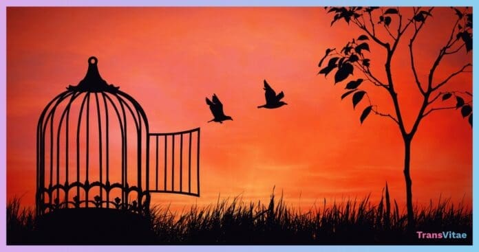 transgender defending yourself