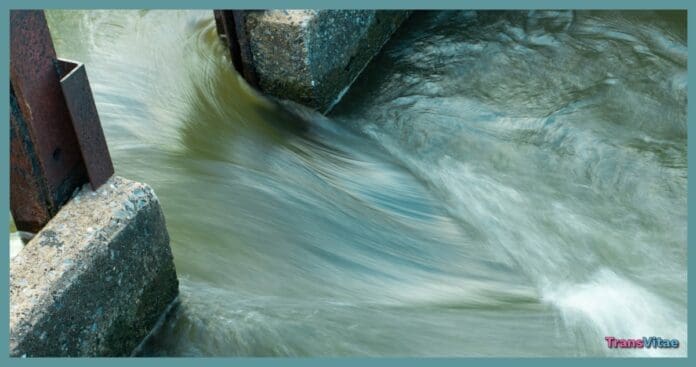 transgender emotional rediscovery