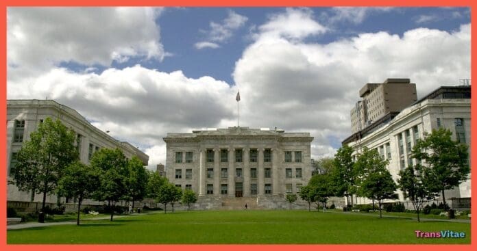 transgender harvard