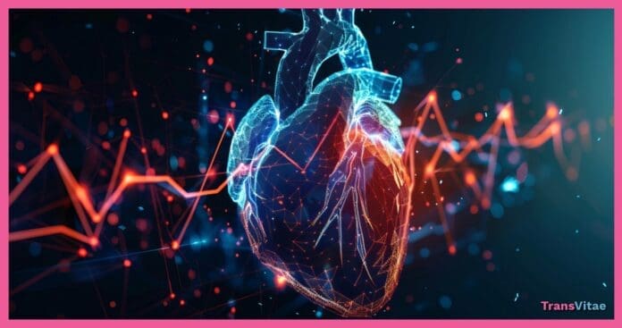 transgender heart transition