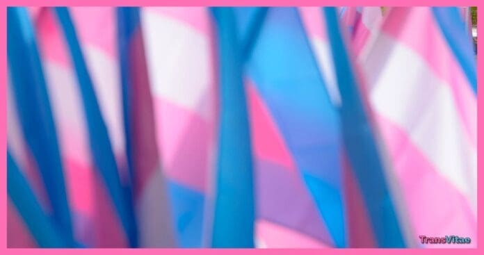 transgender flags boston