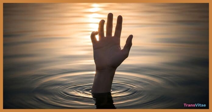 transgender friend support