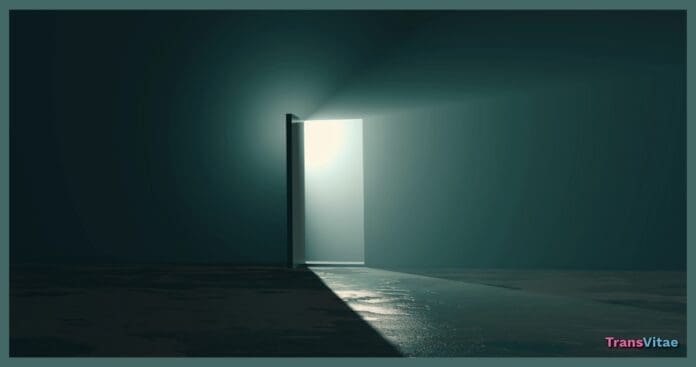 transgender light vs dark