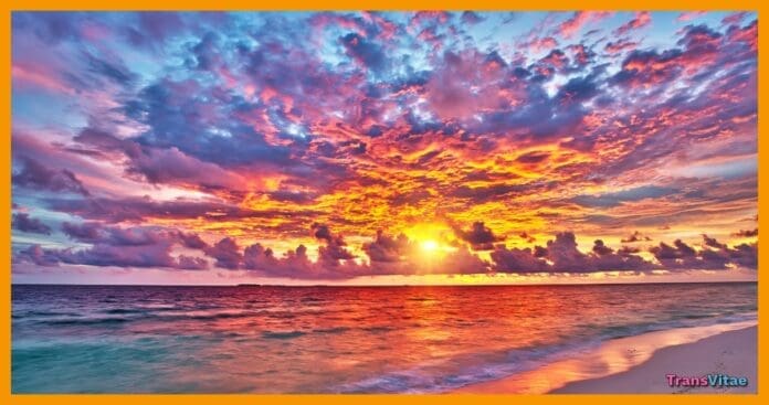 transgender seasonal dysphoria