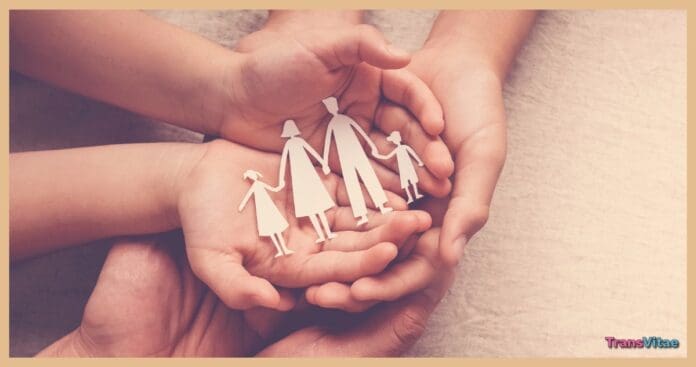 transgender foster care