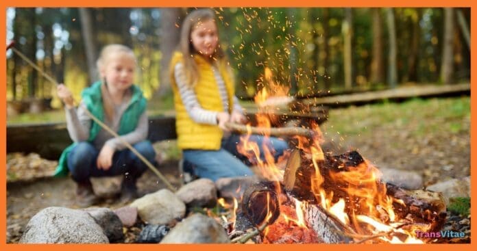 transgender girl groups