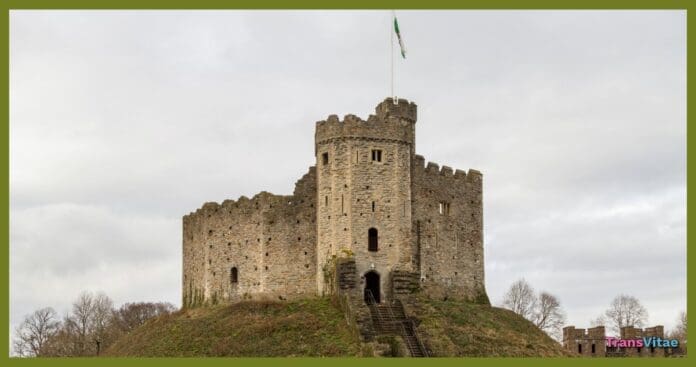 transgender motte bailey